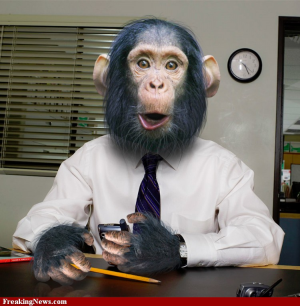 Post image for Monkey Business