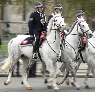 Mounted Police at the Opening of Parliament