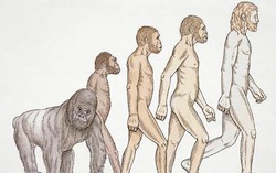 Post image for Neanderthal Man?
