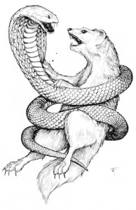 snake-v-mongoose-web